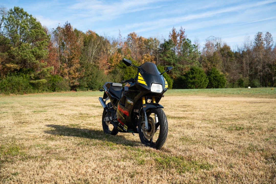 1994 Benelli - Image 3 of 31