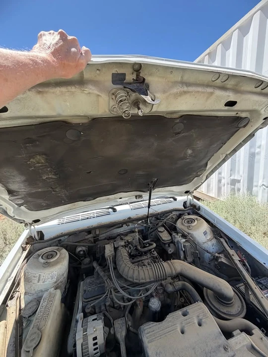 1994 Buick Century - Image 19 of 19