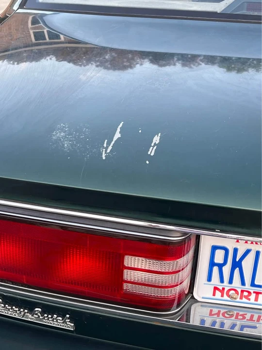 1994 Buick LeSabre - Image 11 of 20