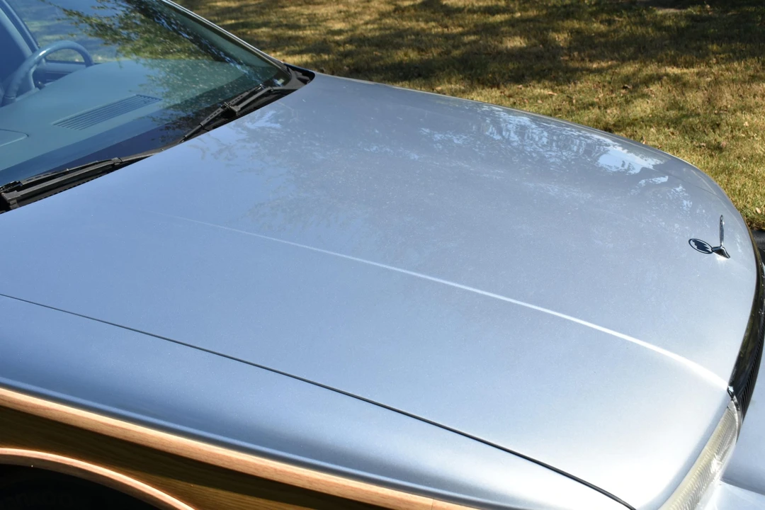 1994 Buick Roadmaster - Image 30 of 31