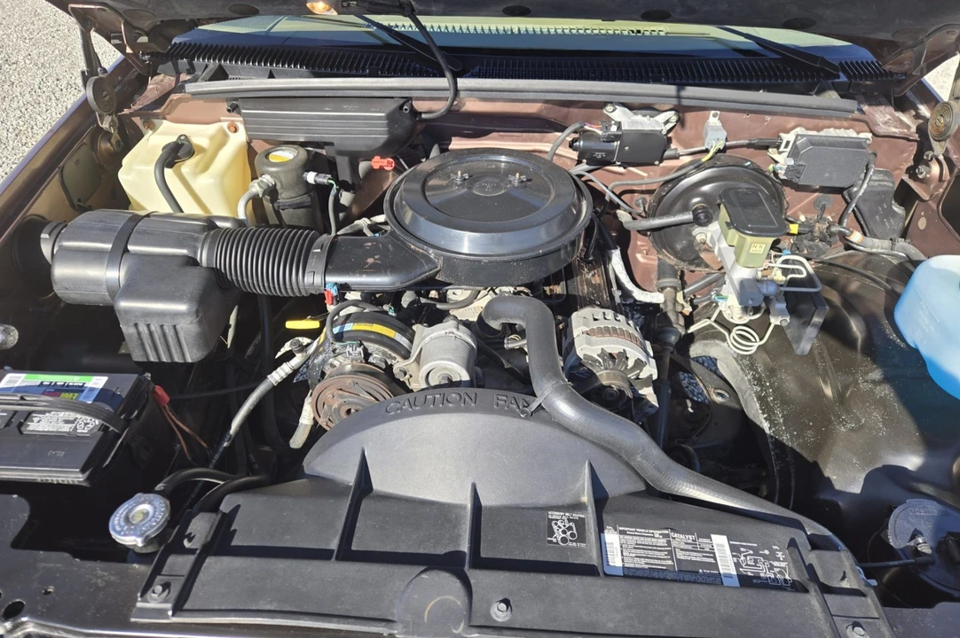 1994 Chevrolet C/K 4th Gen - Image 6 of 7