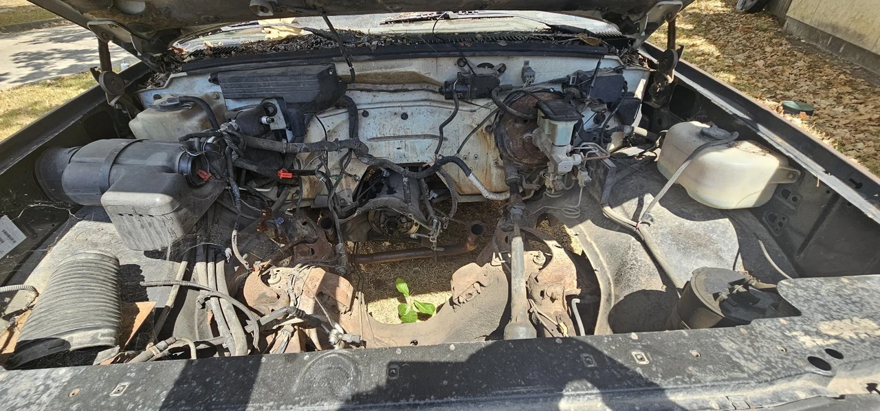 1994 Chevrolet C/K 4th Gen - Image 11 of 13
