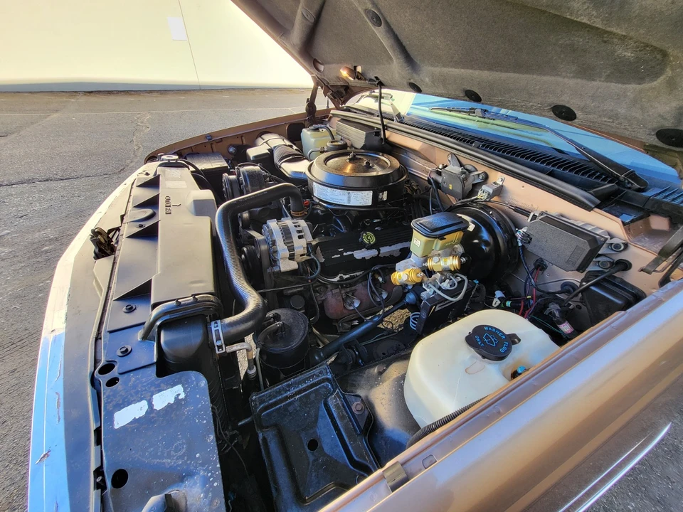 1994 Chevrolet C/K 4th Gen - Image 13 of 21