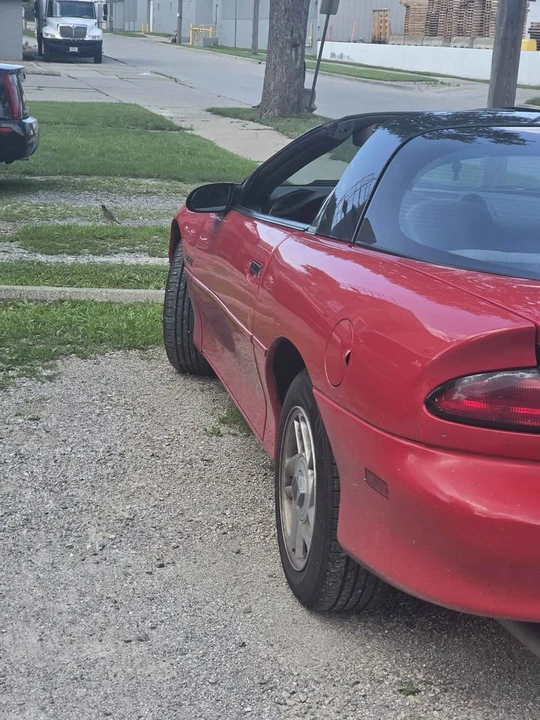 1994 Chevrolet Camaro 4th Gen - Image 4 of 8