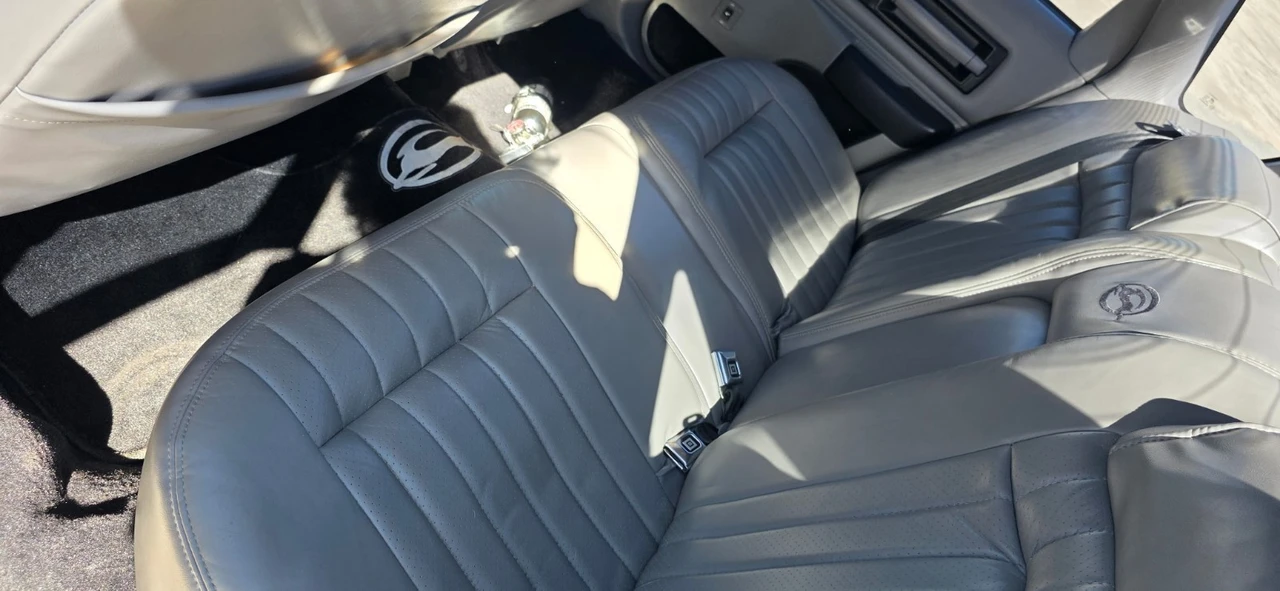 1994 Chevrolet Caprice - Image 8 of 11