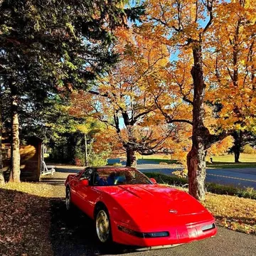 1994 Chevrolet Corvette