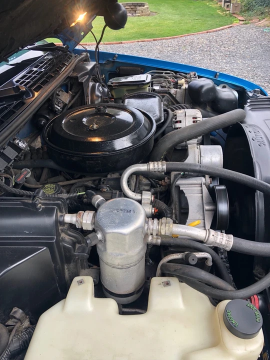 1994 Chevrolet S-10 - Image 10 of 11