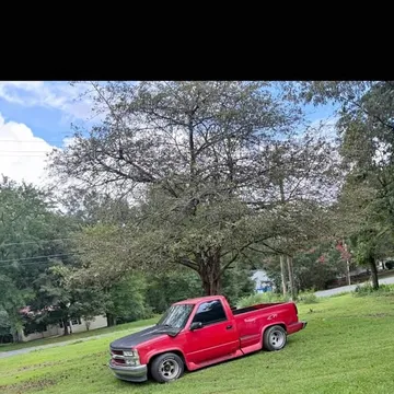1994 Chevrolet C1500