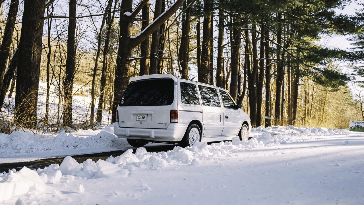 1994 Dodge Caravan - Image 12 of 31