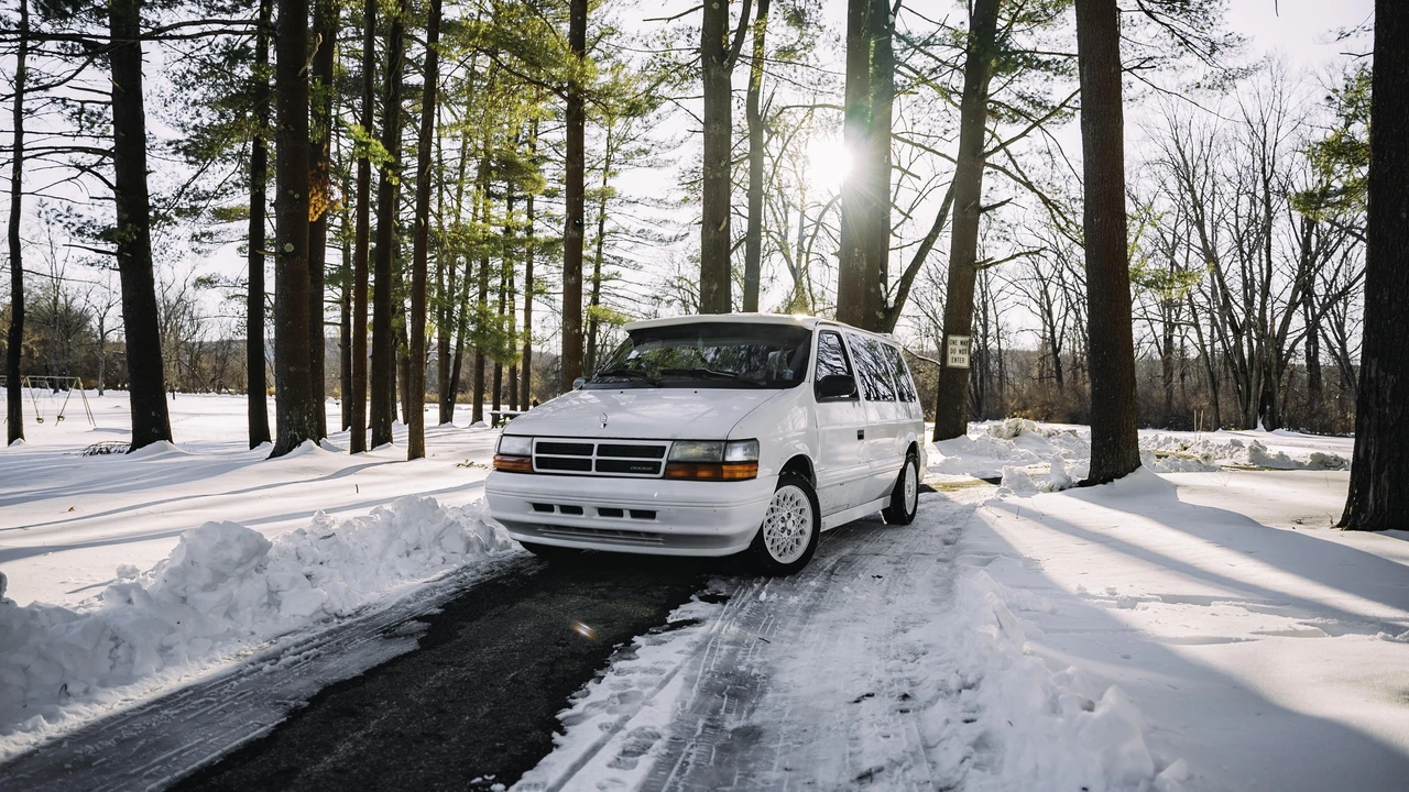 1994 Dodge Caravan - Image 19 of 31