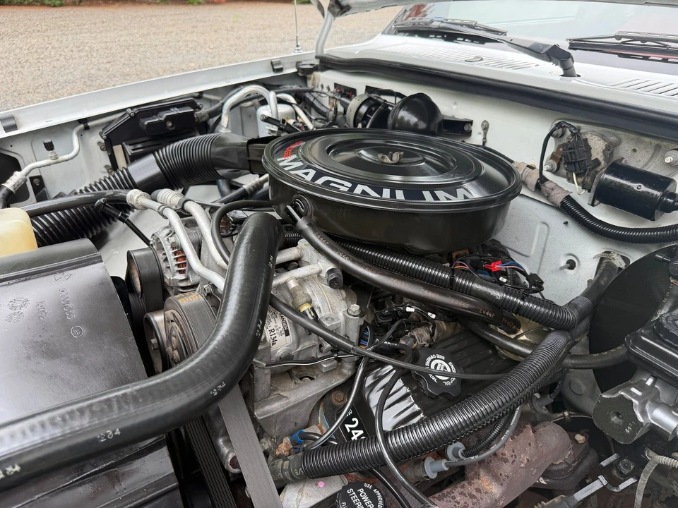 1994 Dodge Dakota 1st Gen - Image 30 of 31