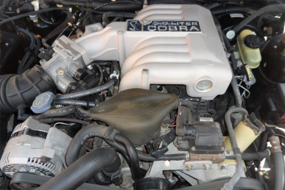 1994 Ford SN95 Mustang Cobra - Image 3 of 5
