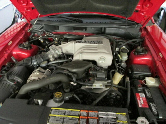 1994 Ford SN95 Mustang Cobra - Image 3 of 5