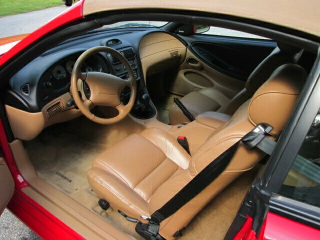 1994 Ford SN95 Mustang Cobra - Image 4 of 5