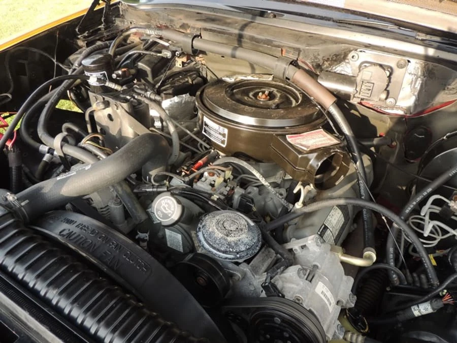 1994 Ford F-Series 9th Gen - Image 6 of 7