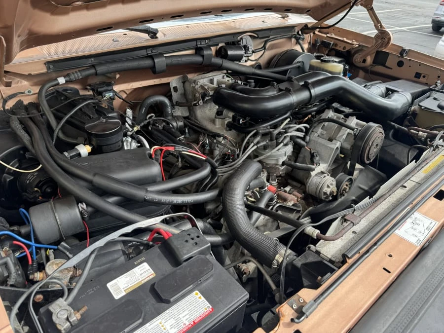 1994 Ford F-Series 9th Gen - Image 10 of 11