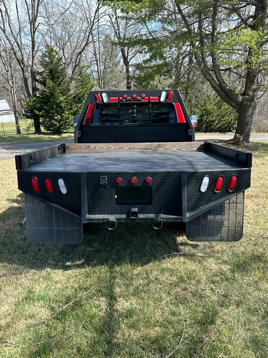 1994 Ford F-Series 9th Gen - Image 4 of 13
