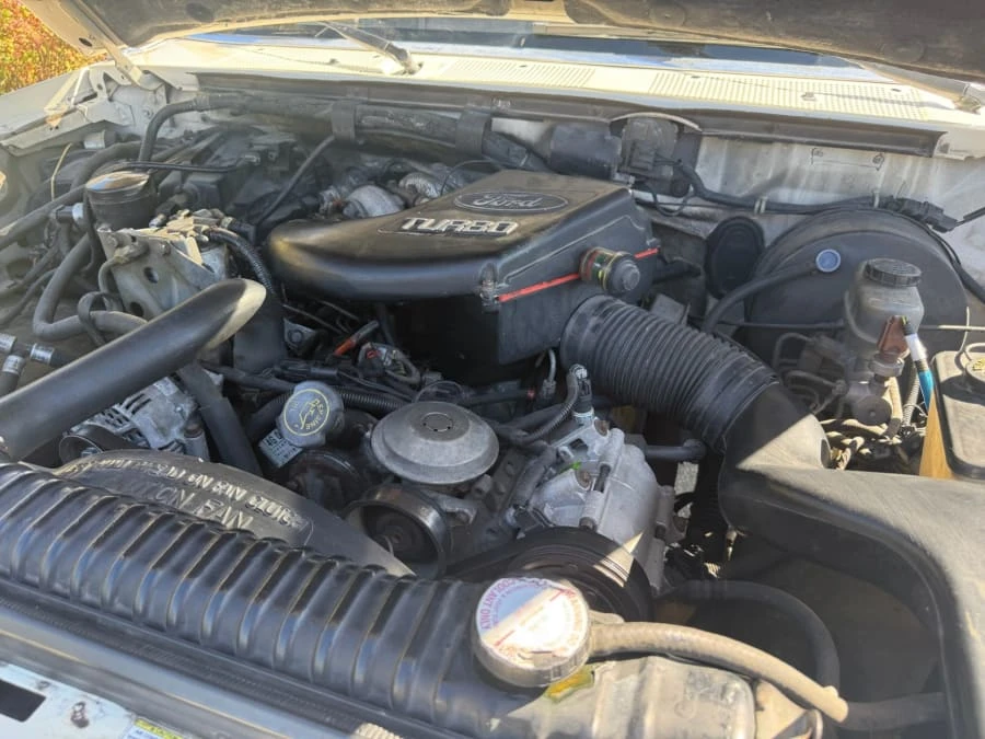 1994 Ford F-Series 9th Gen - Image 17 of 19