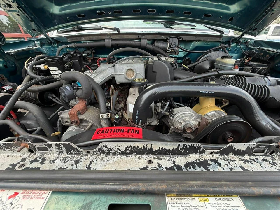 1994 Ford F-Series 9th Gen - Image 8 of 23