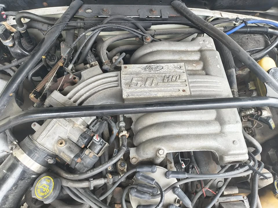 1994 Ford SN95 Mustang - Image 10 of 14
