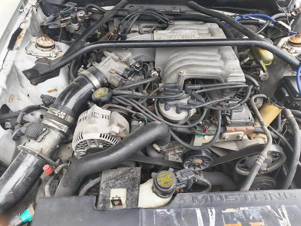 1994 Ford SN95 Mustang - Image 12 of 14