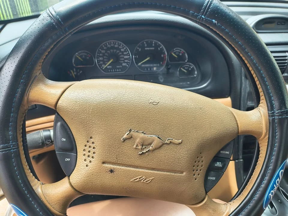 1994 Ford SN95 Mustang - Image 8 of 14