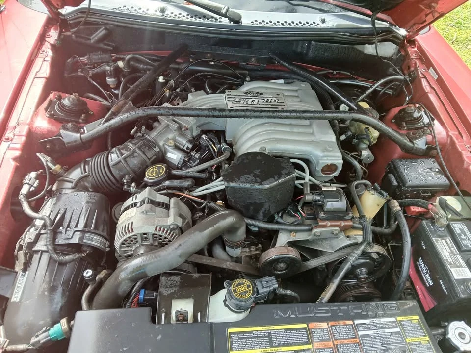 1994 Ford GT - Image 4 of 5