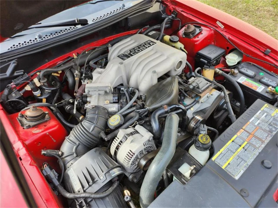 1994 Ford SN95 Mustang - Image 16 of 16