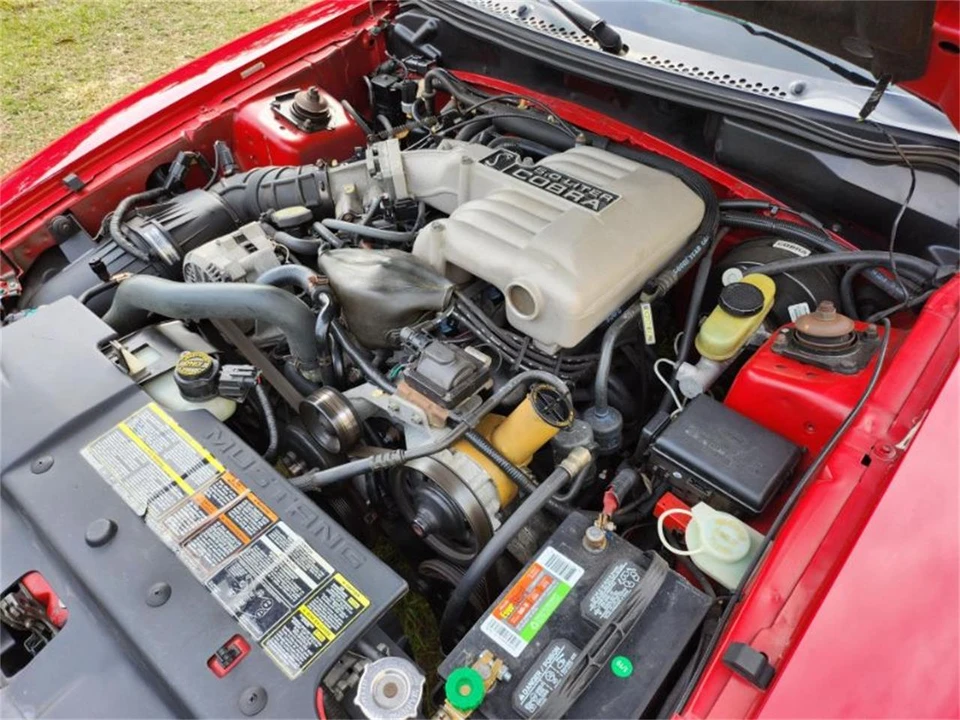 1994 Ford SN95 Mustang - Image 15 of 16
