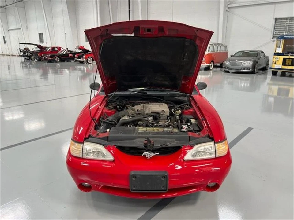 1994 Ford SN95 Mustang - Image 16 of 19