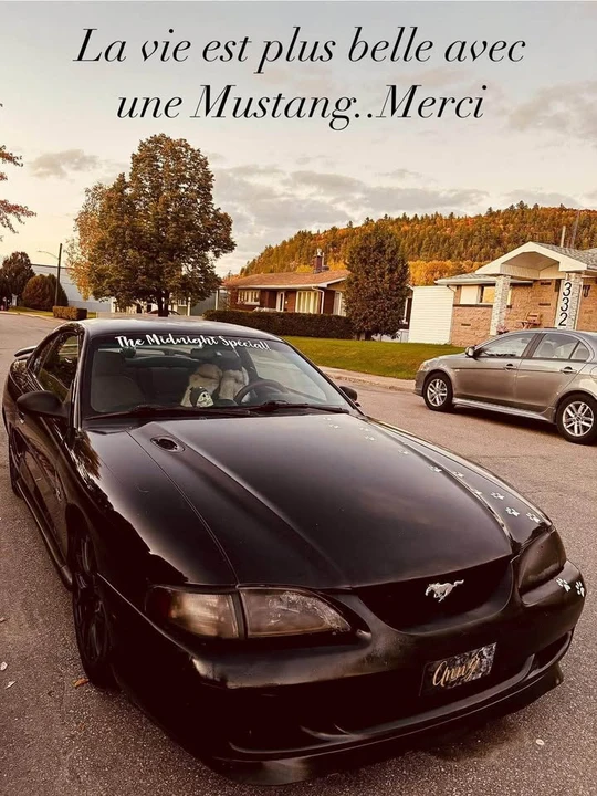 1994 Ford SN95 Mustang - Image 2 of 2