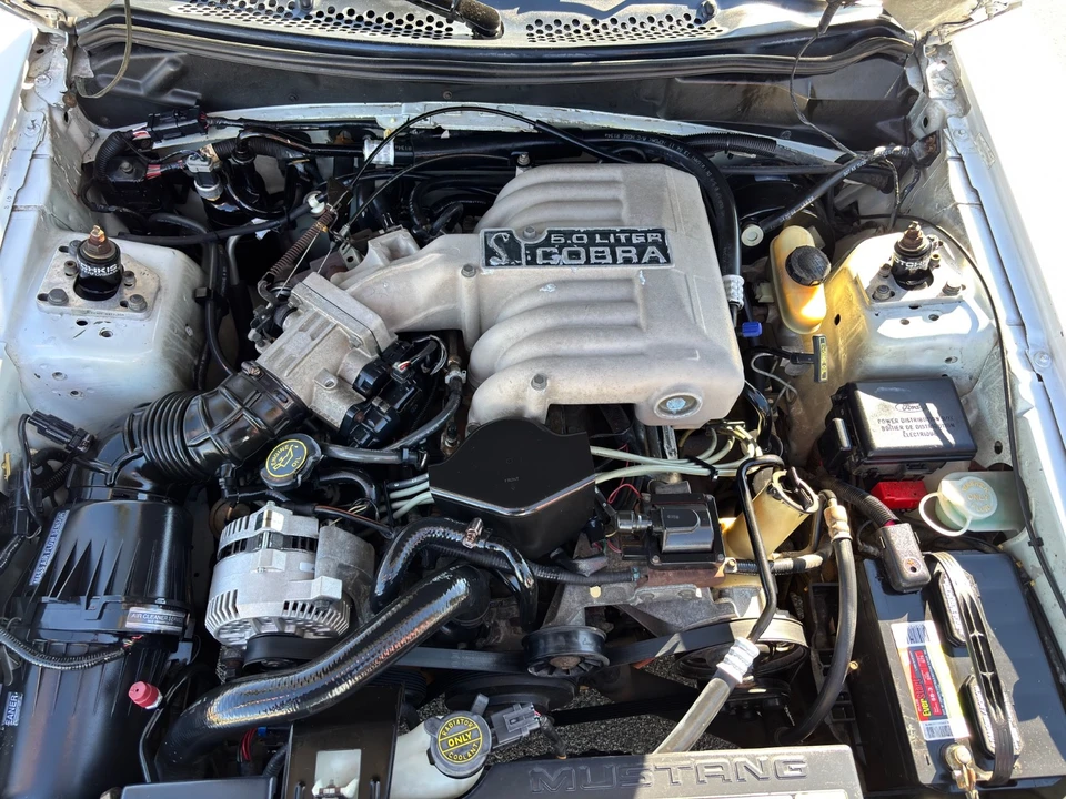 1994 Ford SN95 Mustang - Image 12 of 21