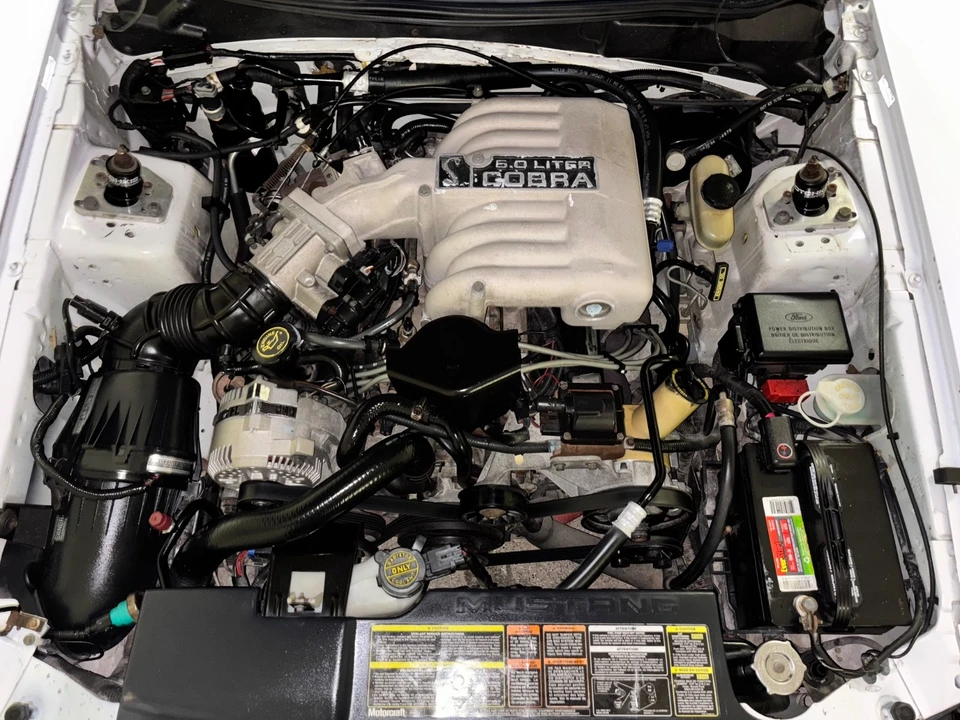 1994 Ford SN95 Mustang - Image 17 of 21