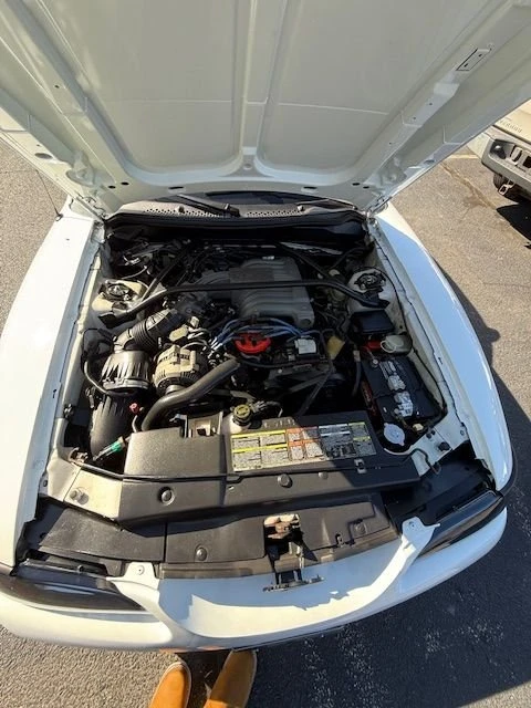 1994 Ford SN95 Mustang - Image 8 of 8