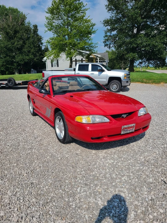 1994 Ford SN95 Mustang - Image 2 of 21
