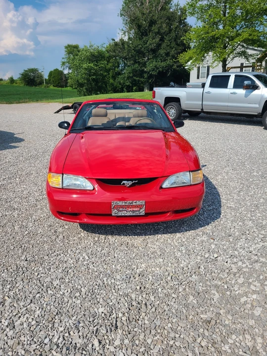 1994 Ford SN95 Mustang - Image 4 of 21