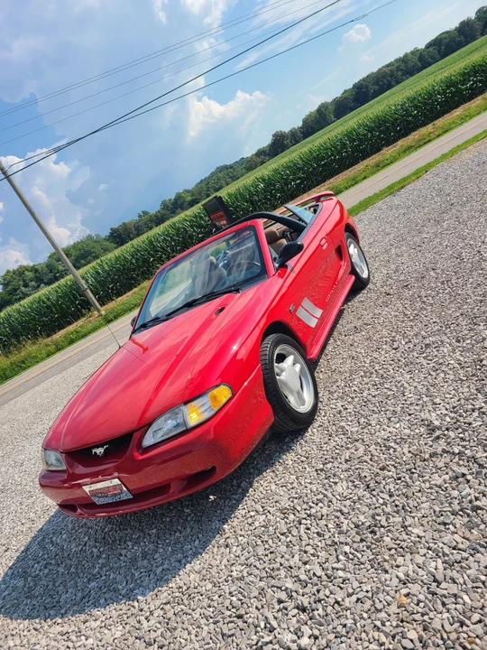 1994 Ford SN95 Mustang - Image 9 of 21