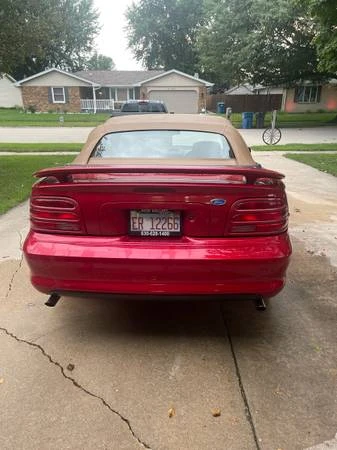 1994 Ford SN95 Mustang - Image 15 of 21