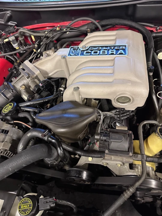1994 Ford SN95 Mustang Cobra - Image 7 of 14