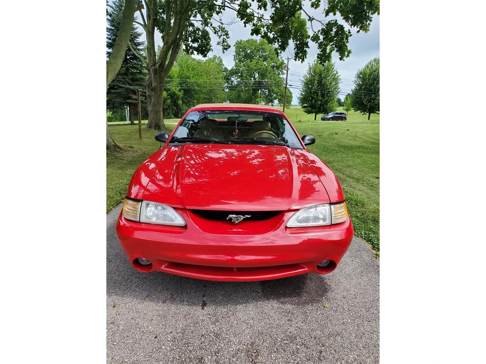 1994 Ford SN95 Mustang Cobra - Image 2 of 10