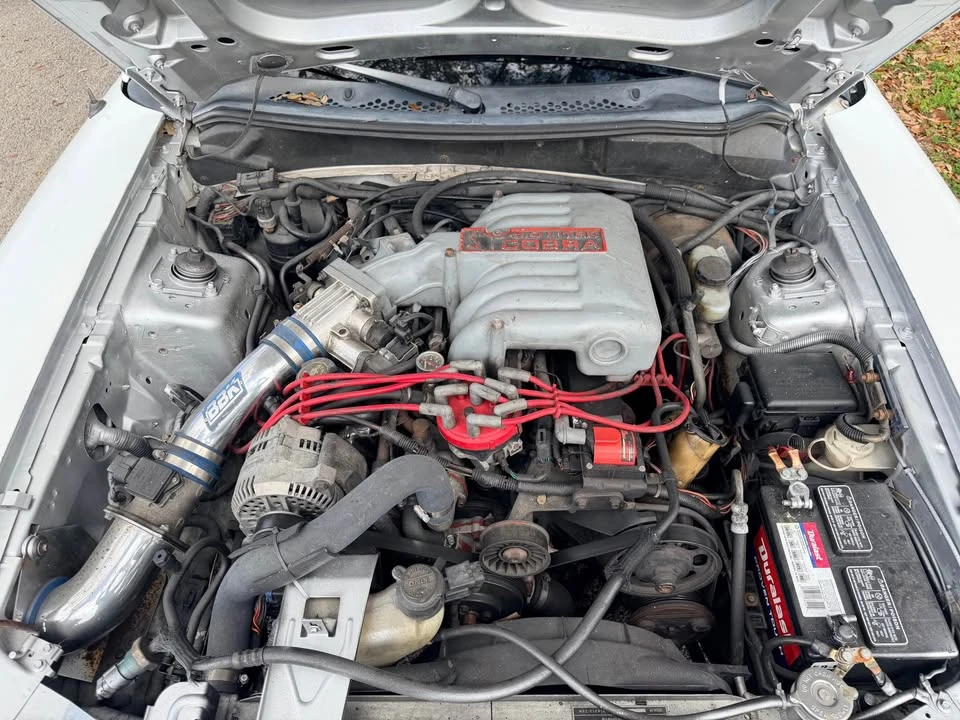 1994 Ford SN95 Mustang Cobra - Image 8 of 9