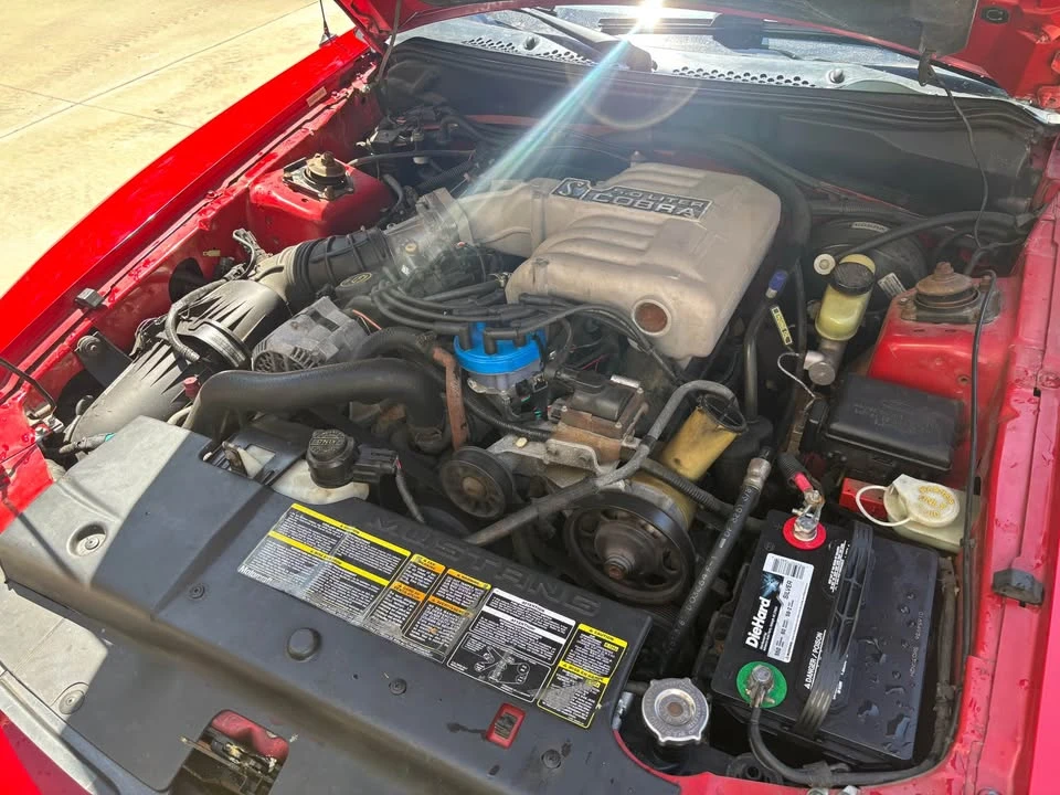 1994 Ford SN95 Mustang Cobra - Image 2 of 9