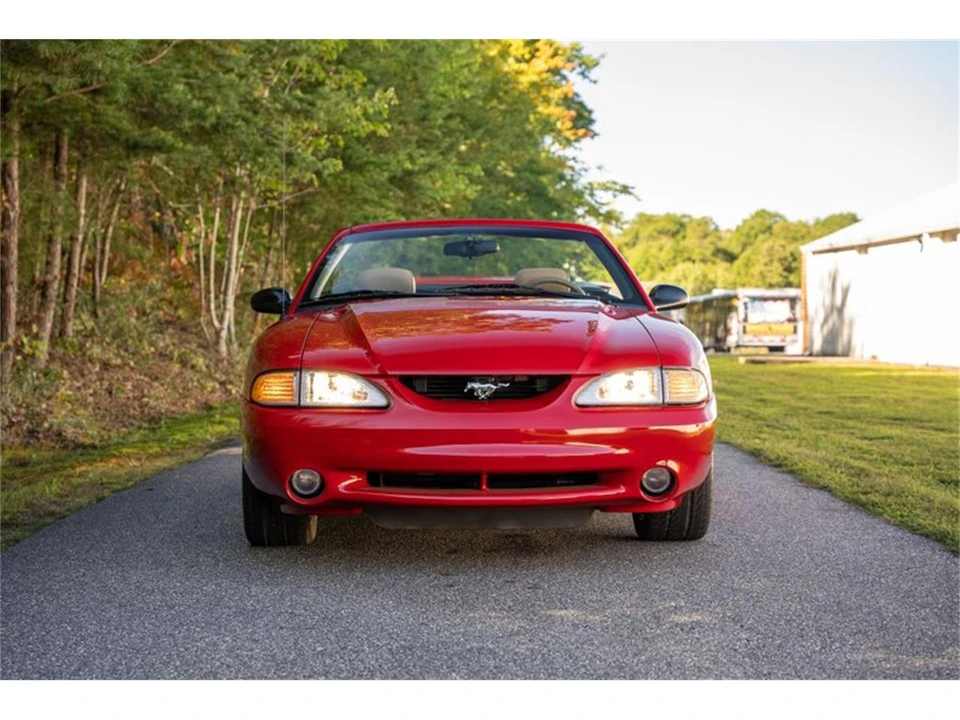 1994 Ford SN95 Mustang Cobra - Image 8 of 31