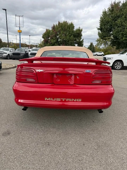 1994 Ford SN95 Mustang Cobra - Image 3 of 8