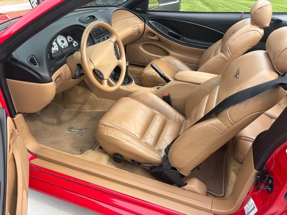 1994 Ford SN95 Mustang Cobra - Image 8 of 12