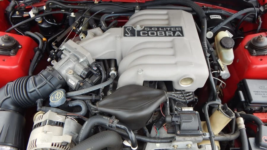 1994 Ford SN95 Mustang Cobra - Image 6 of 9