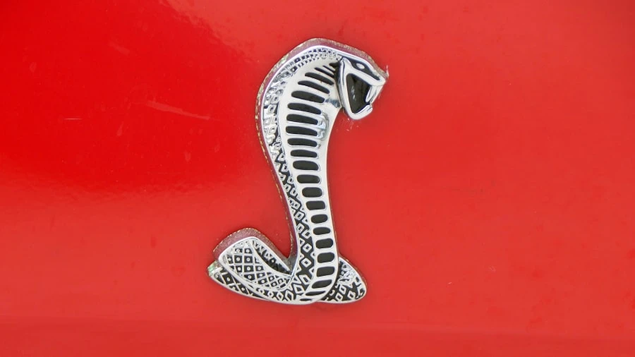 1994 Ford SN95 Mustang Cobra - Image 8 of 9