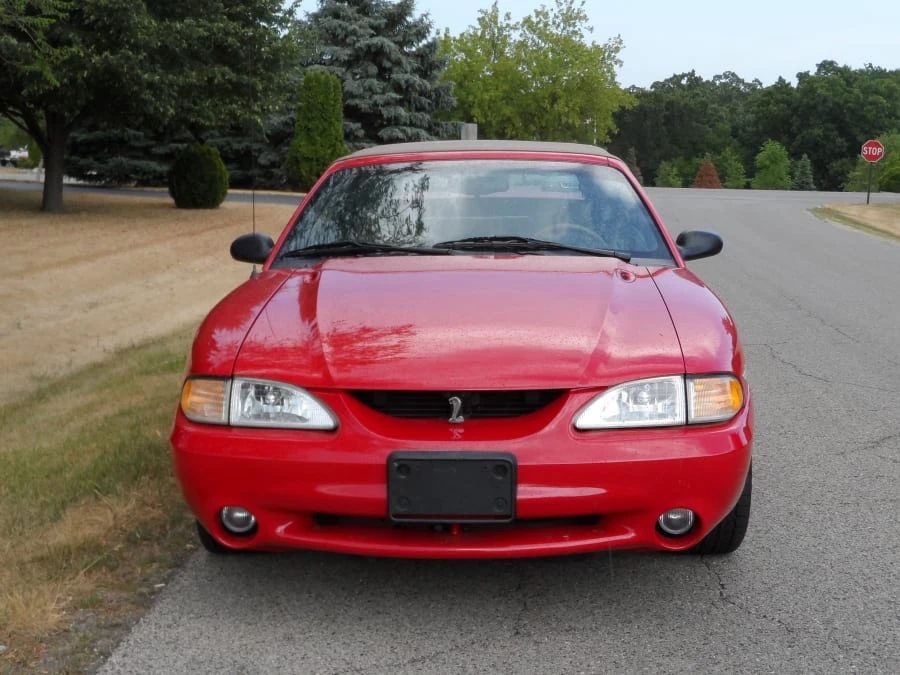 1994 Ford SN95 Mustang Cobra - Image 2 of 6