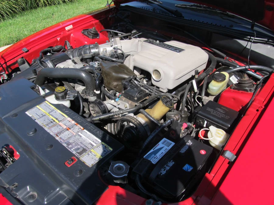 1994 Ford SN95 Mustang Cobra - Image 6 of 8