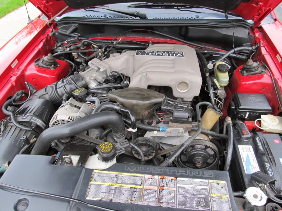 1994 Ford SN95 Mustang Cobra - Image 7 of 7